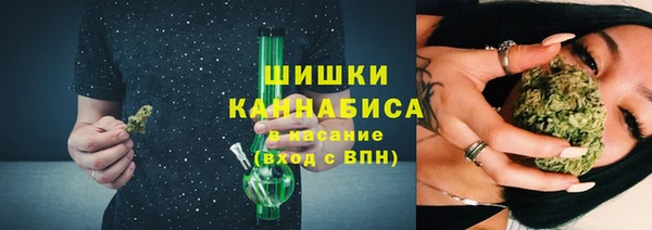 сатива Корсаков