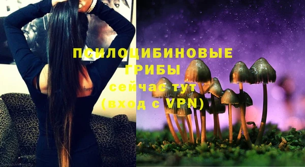 молекула духа Костерёво