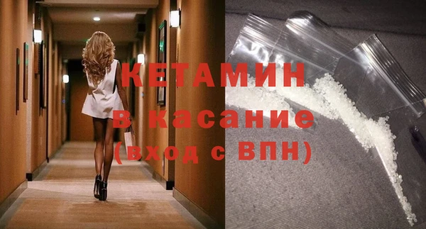 сатива Корсаков