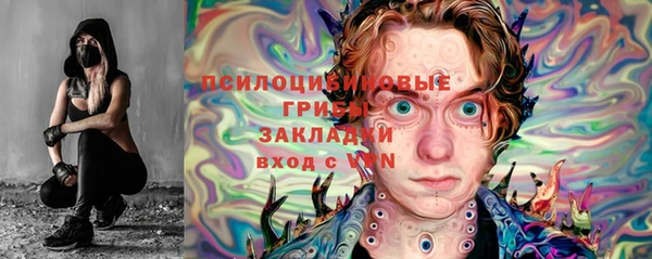сатива Корсаков