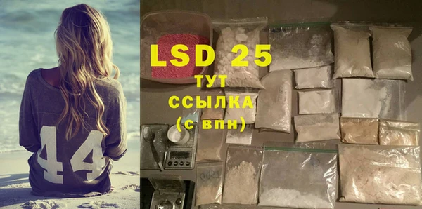 сатива Корсаков