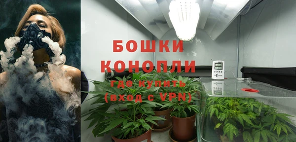 сатива Корсаков