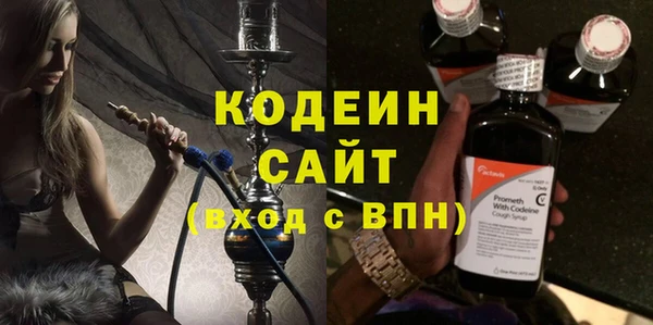 сатива Корсаков
