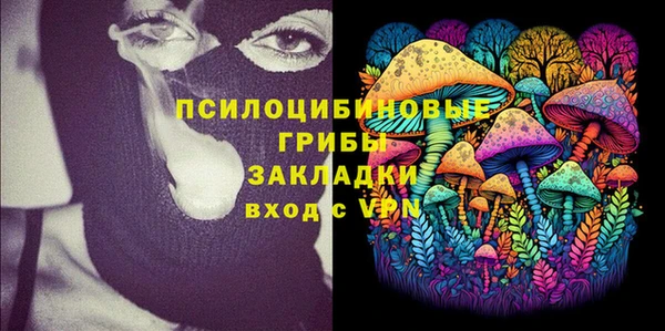 дурь Коряжма