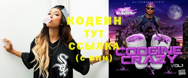 молекула духа Костерёво