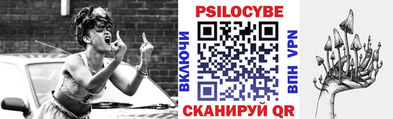 Псилоцибиновые грибы мицелий  Купить где  Карачаевск 