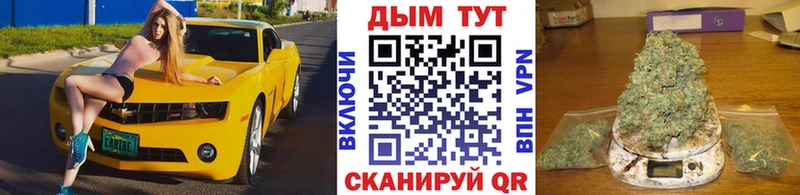 Каннабис AK-47  Купить закладки  Карачаевск 